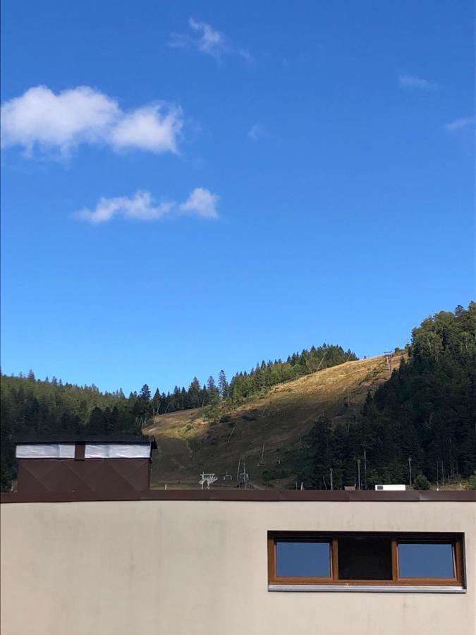 Studio La Bresse Chez Sandra מראה חיצוני תמונה